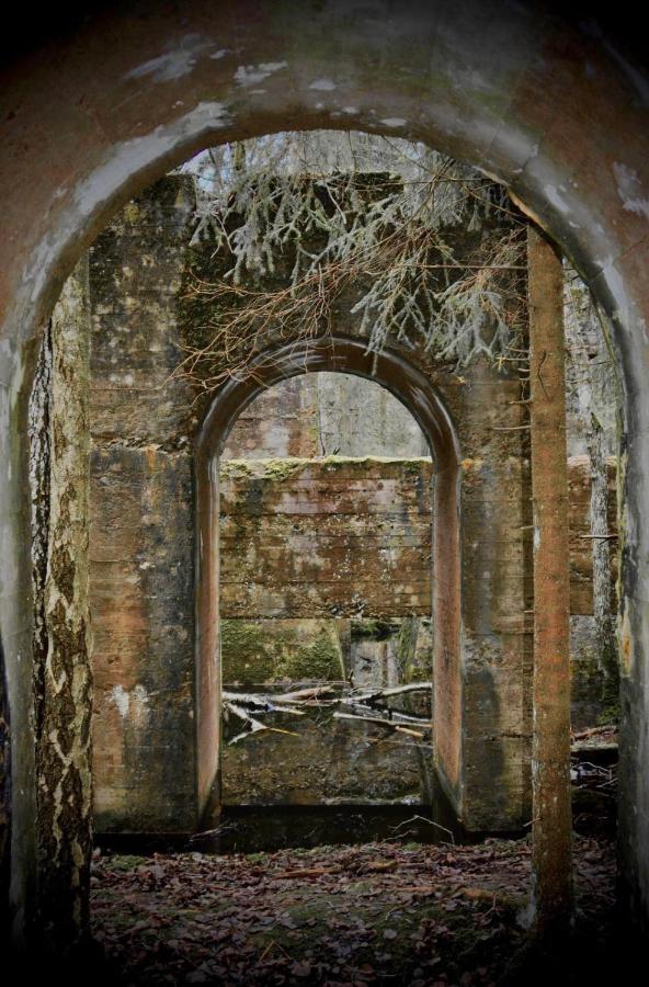 Liten Stuga Mitt I Naturen Pa Kinnekulle Hällekis Exteriér fotografie