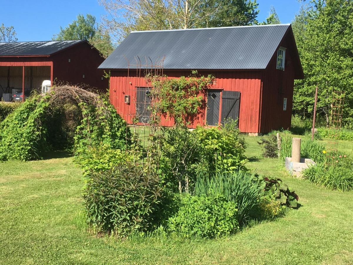 Liten Stuga Mitt I Naturen Pa Kinnekulle Hällekis Exteriér fotografie